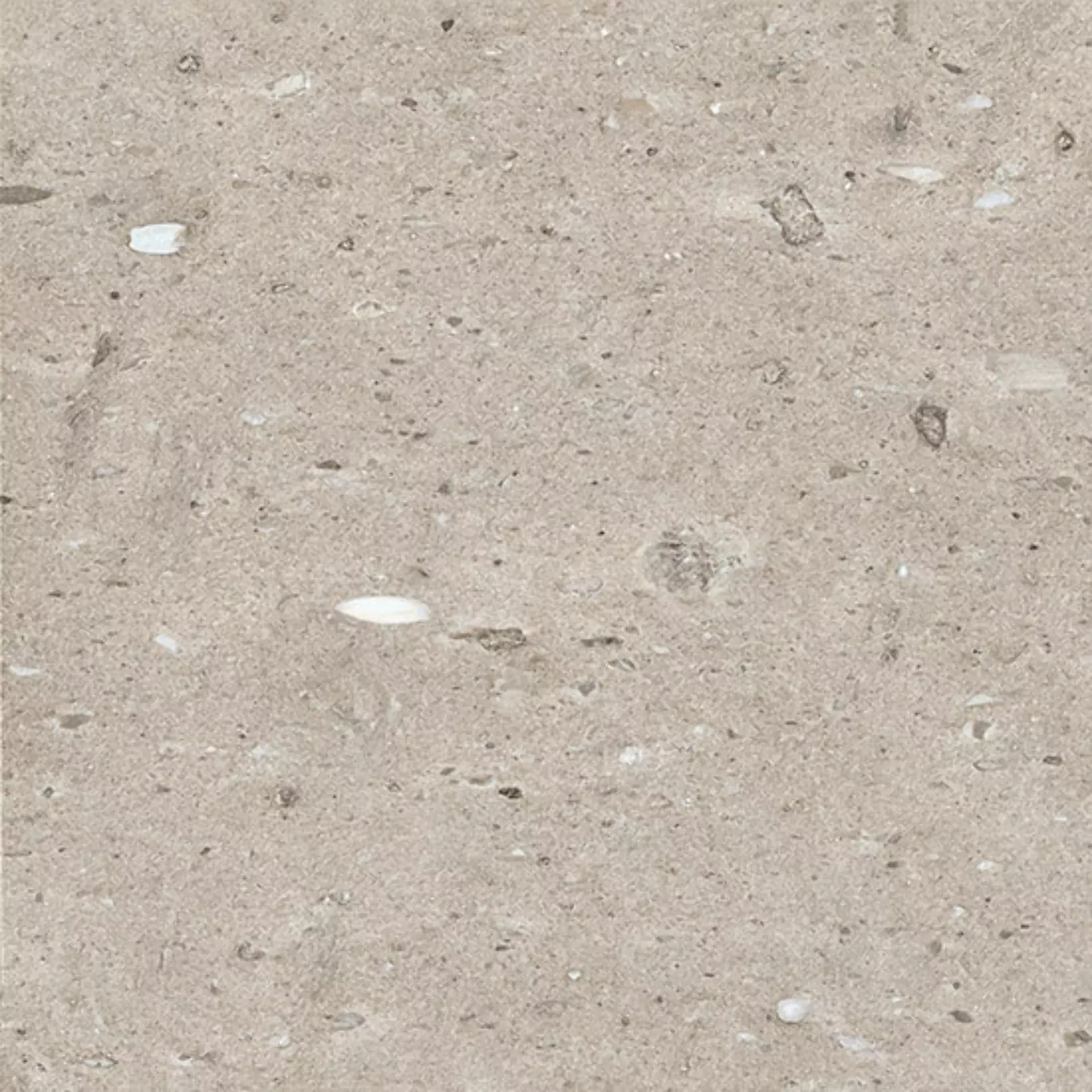 Coem Moon Stone Beige Lucidato CK602LR 60x60cm rectified 10mm
