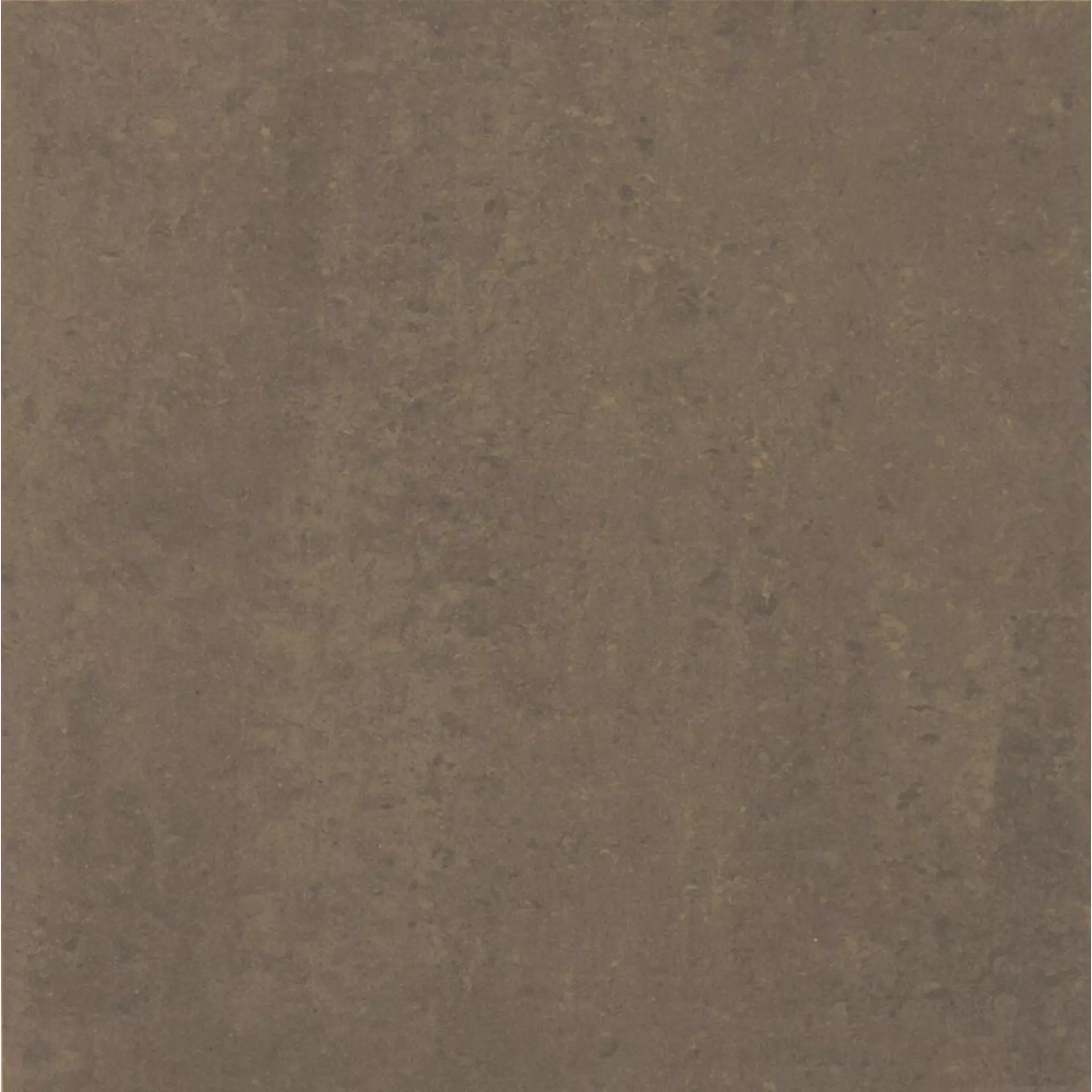 Casalgrande Marte Ramora Brown Naturale – Matt Ramora Brown 7790045 natur matt 30x60cm rektifiziert 9,4mm