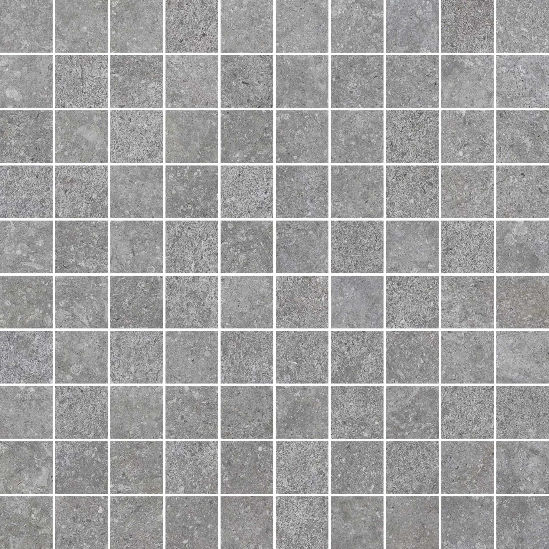 Settecento Shellstone Grey Natural Mosaic 13826 29,8x29,8cm rectified 9,5mm