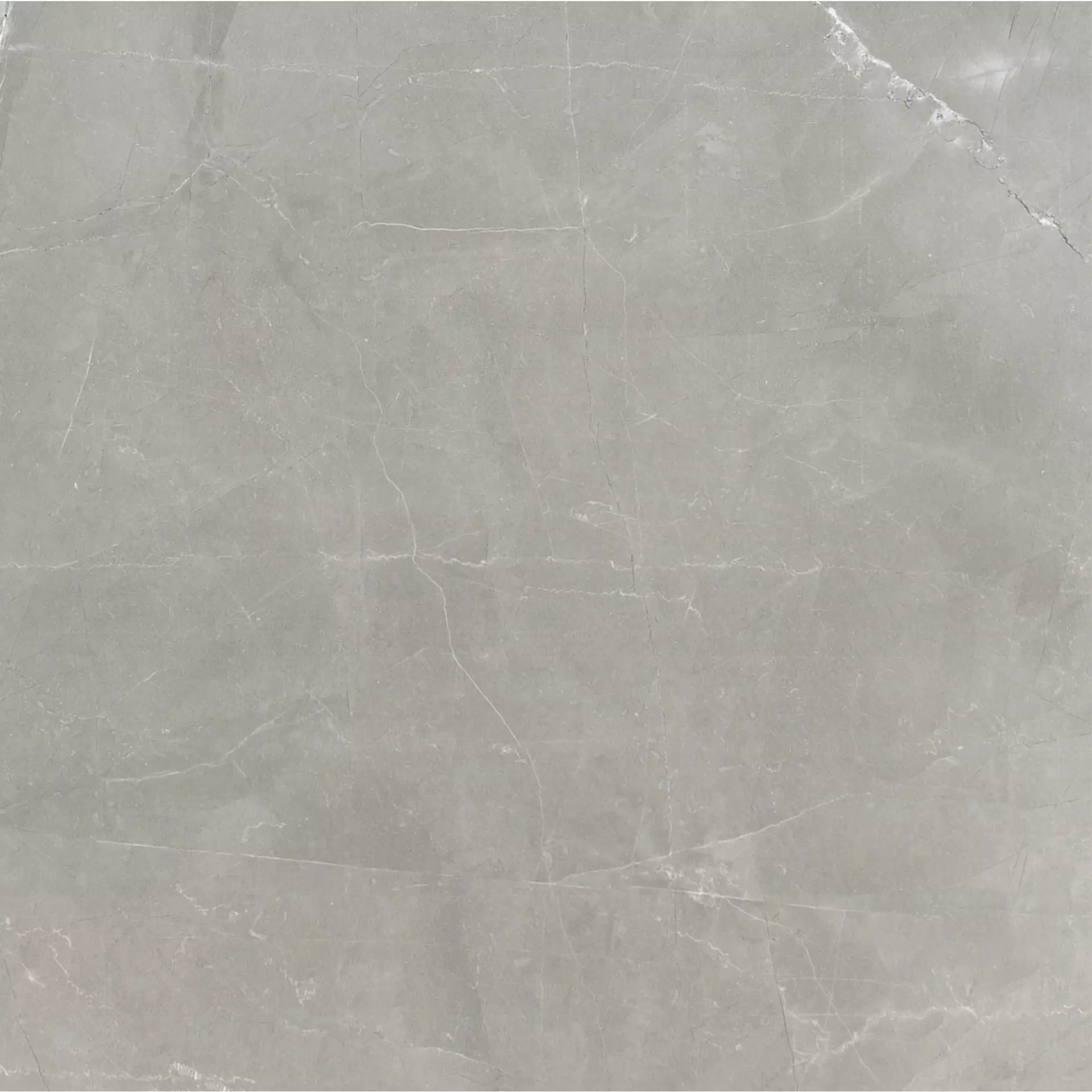 Florim Timeless Amani Grey Naturale – Matt Amani Grey 744866 matt natur 60x60cm rektifiziert 9mm