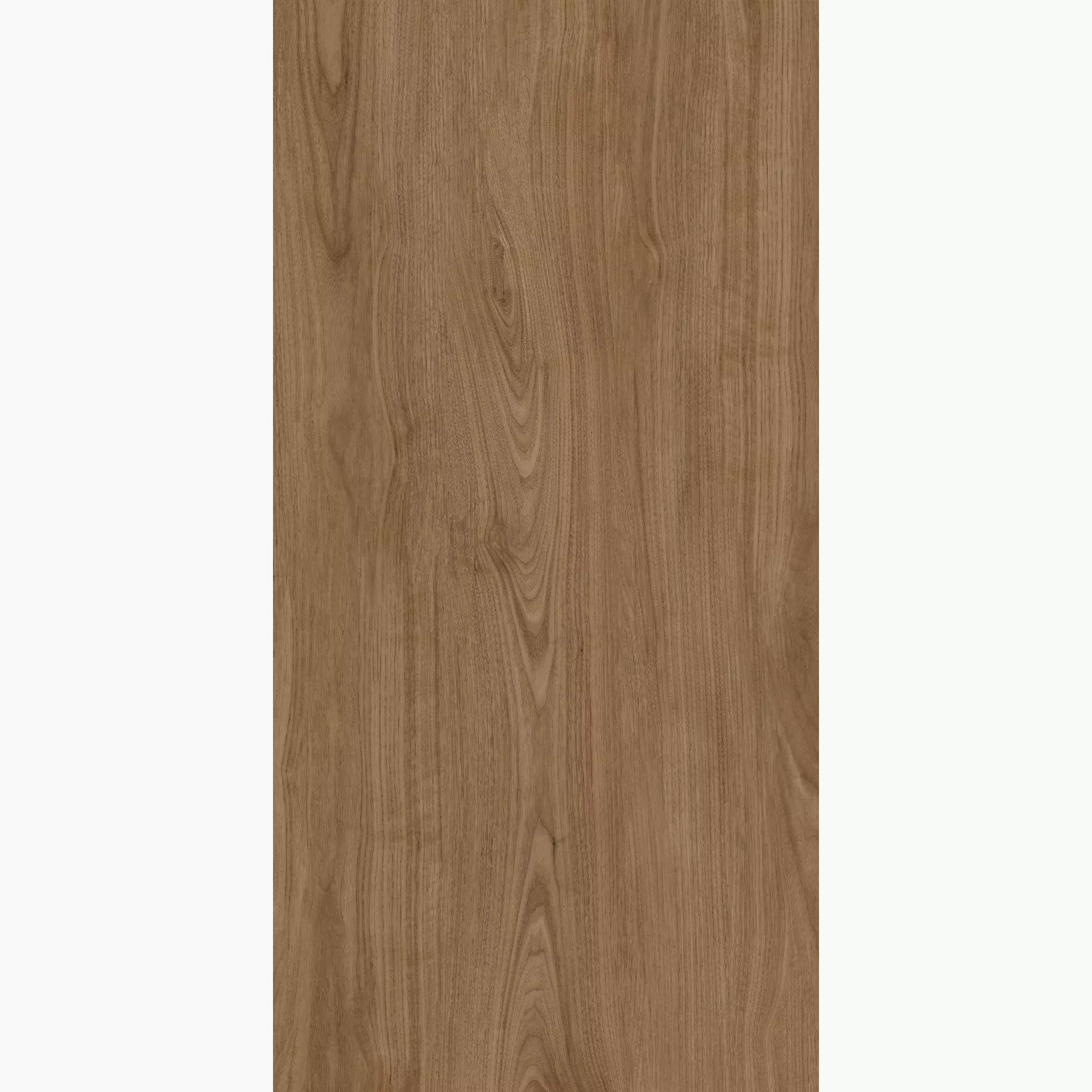 Margres Stage Brown Semi Polished B2562SE5PAA 60x120cm 9,5mm