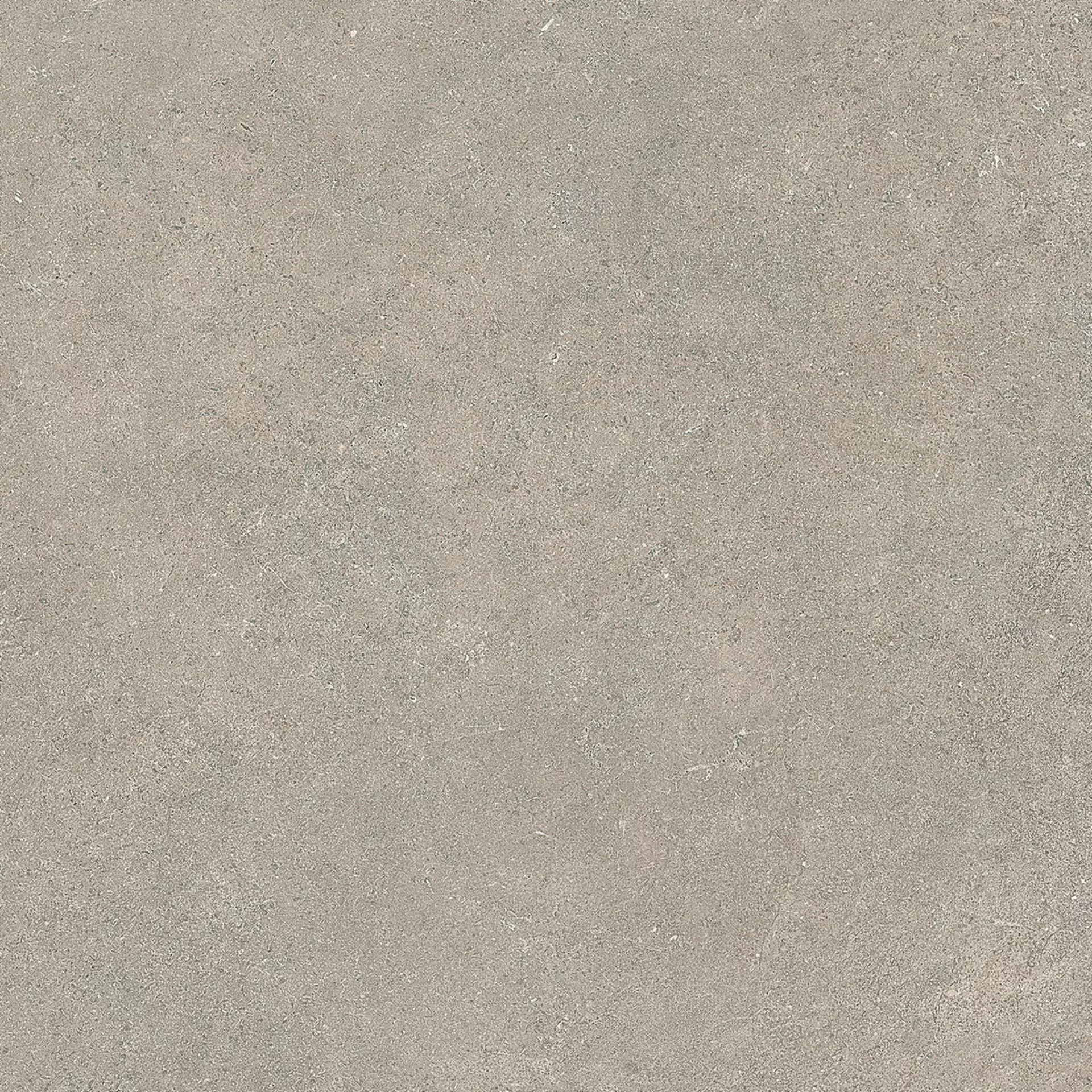 Impronta Limestone Taupe Naturle – Matt Taupe ILM0468 matt natur 60x60cm 9mm