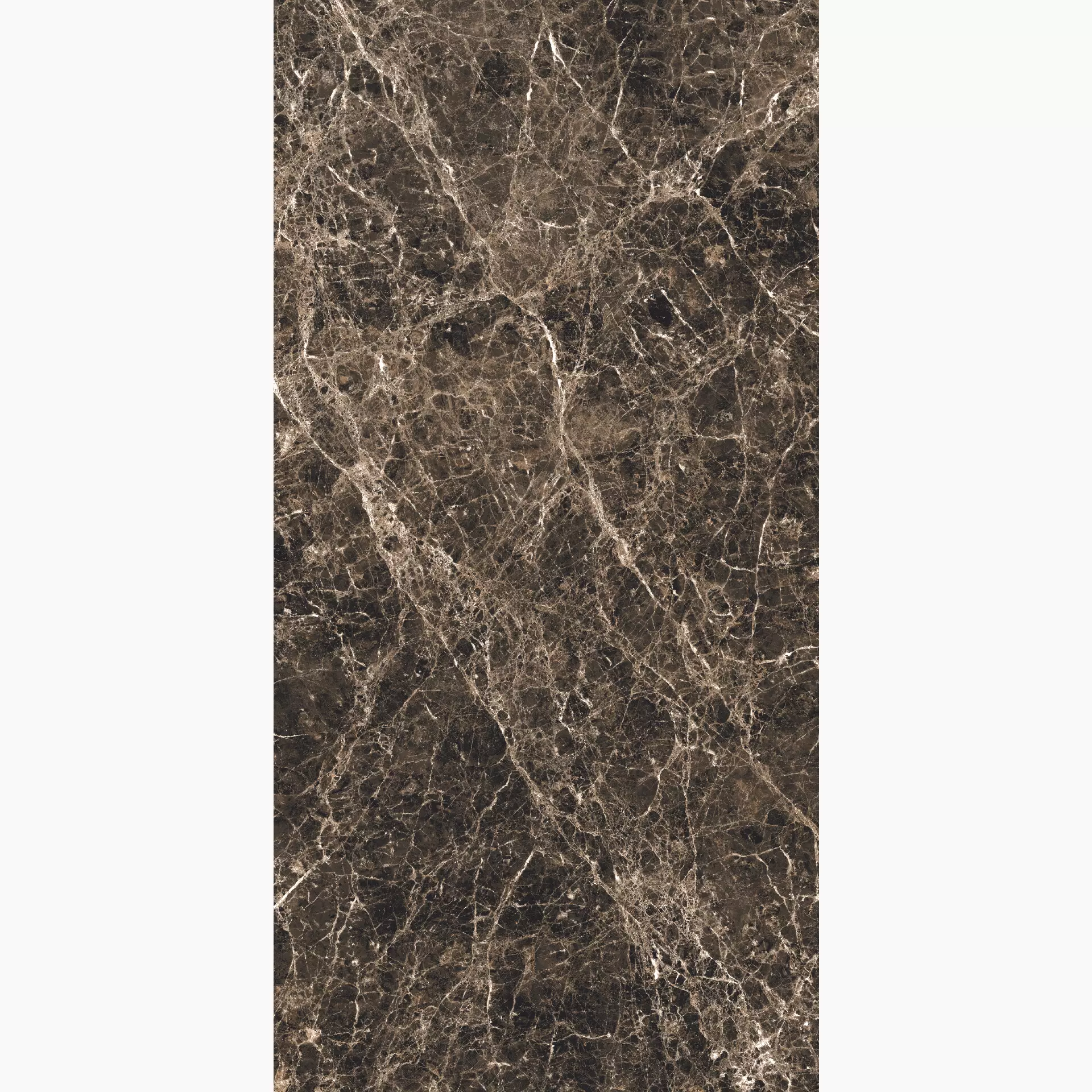 Florim Les Bijoux De Rex Marron Imperial Glossy 765725 120x240cm rectified 6mm