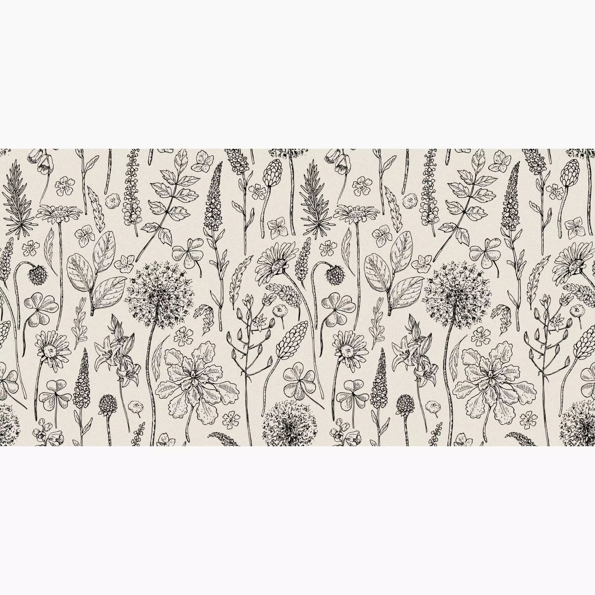 Abk Wide & Style The Herbarium Digit + Dekor Paint PF60007629 60x120cm rektifiziert 8,5mm