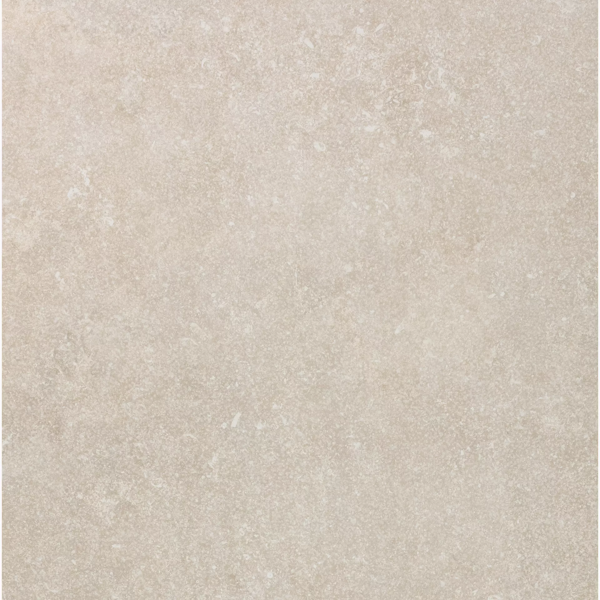 Florim Atmospheres De Rex Harmonie Smooth Harmonie 773367 glatt 80x80cm rektifiziert 9mm