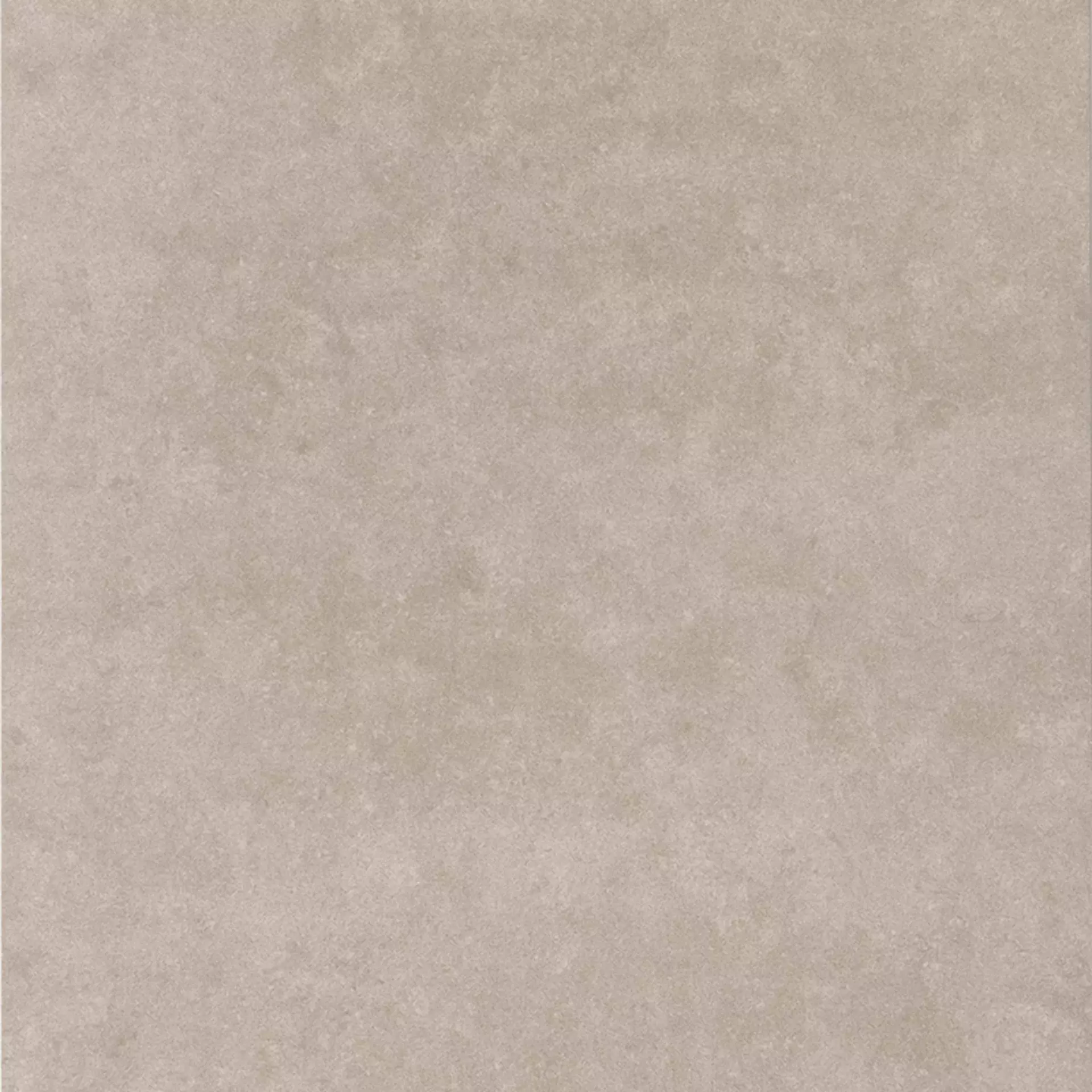 Casalgrande Timeless Taupe Levigato 14147049 60x120cm rectified 9,4mm