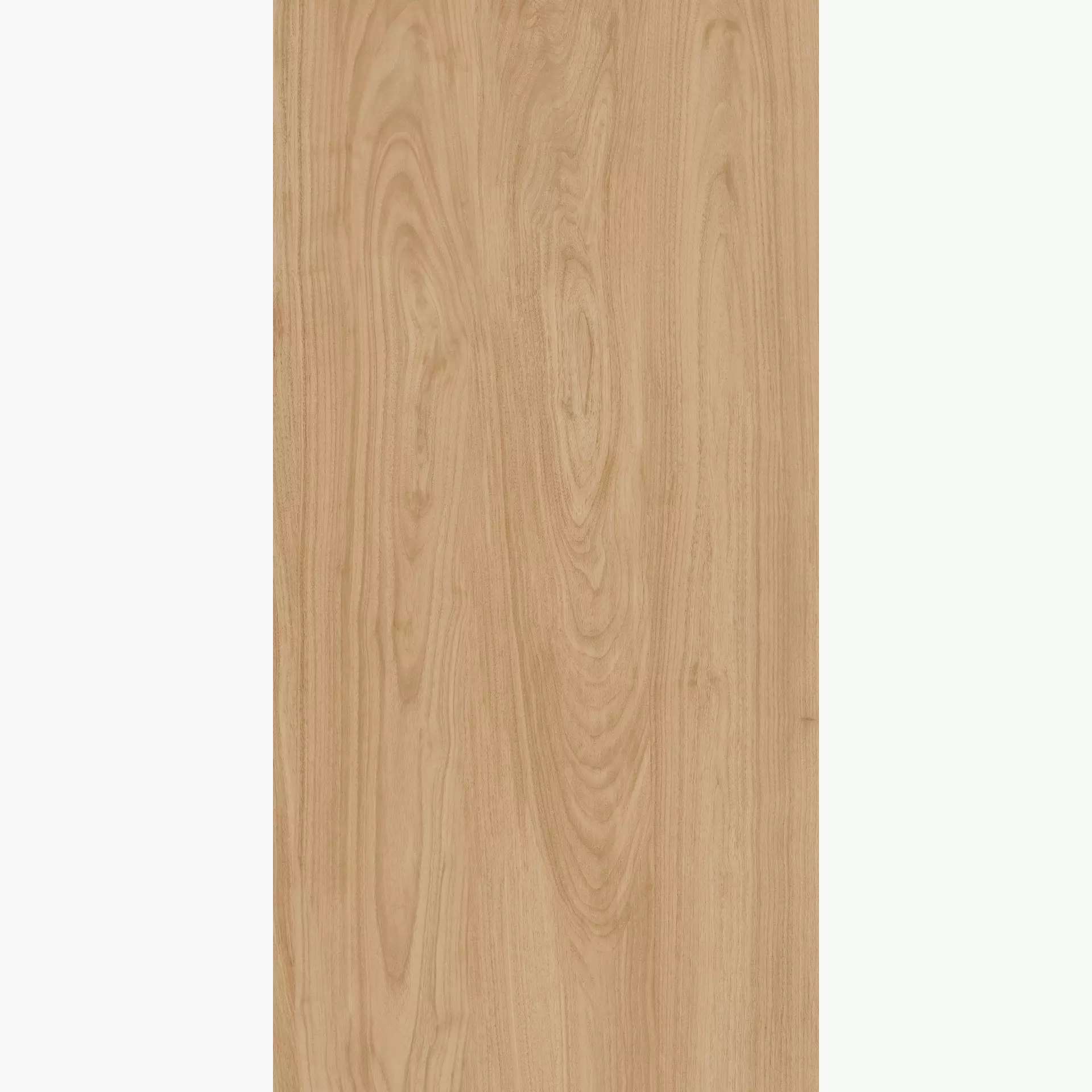 Margres Stage Beige Semi Polished B2562SE2PAA 60x120cm 9,5mm