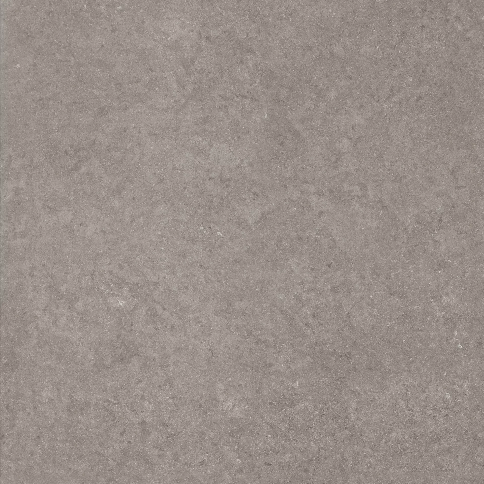 Florim Atmospheres De Rex Ombre Smooth Ombre 773415 glatt 120x120cm rektifiziert 6mm