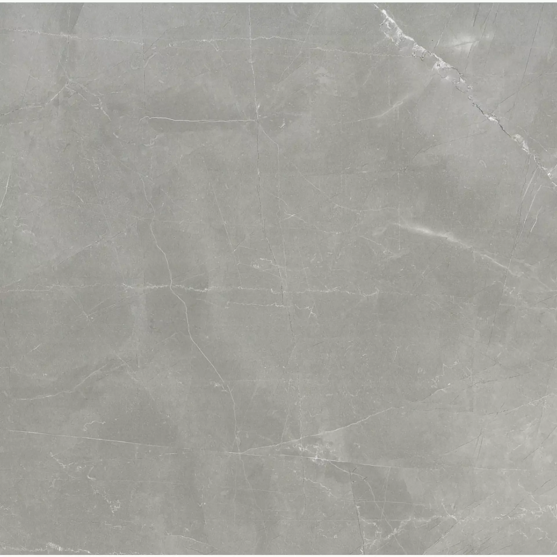 Florim Timeless Amani Grey Naturale – Matt Amani Grey 744866 matt natur 60x60cm rektifiziert 9mm