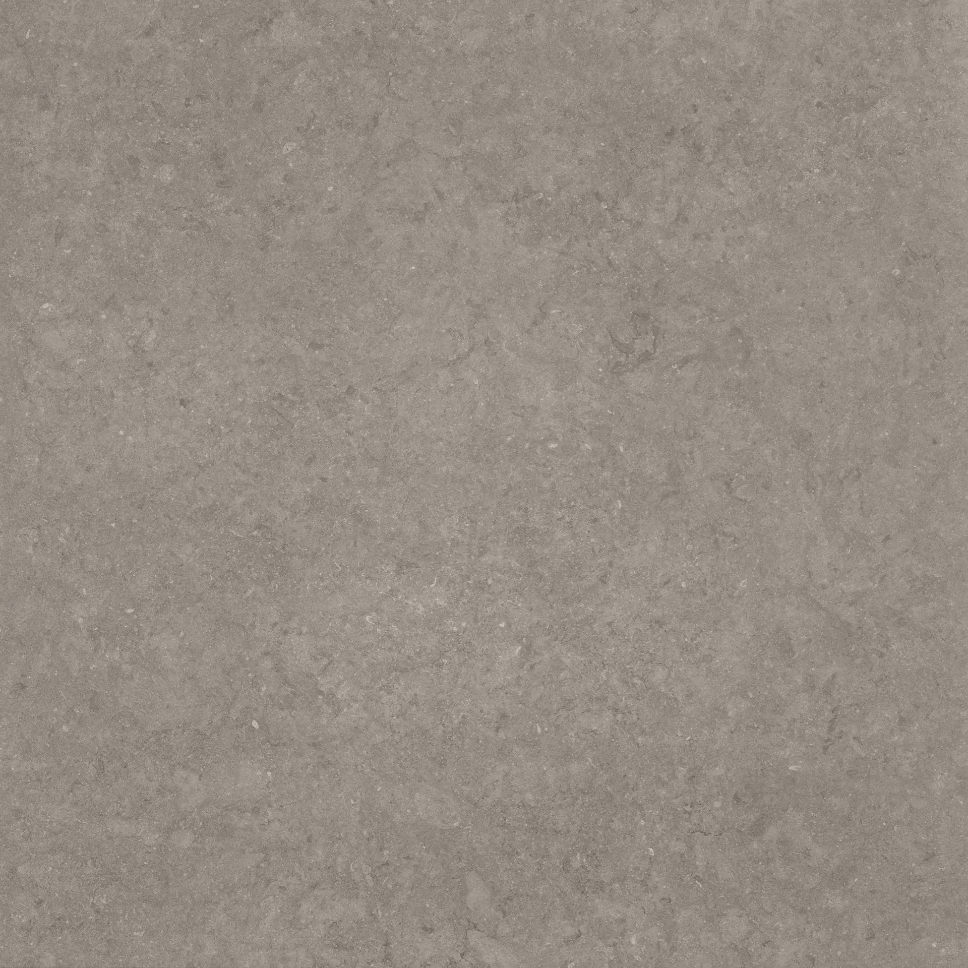 Florim Atmospheres De Rex Ombre Smooth Ombre 773415 glatt 120x120cm rektifiziert 6mm