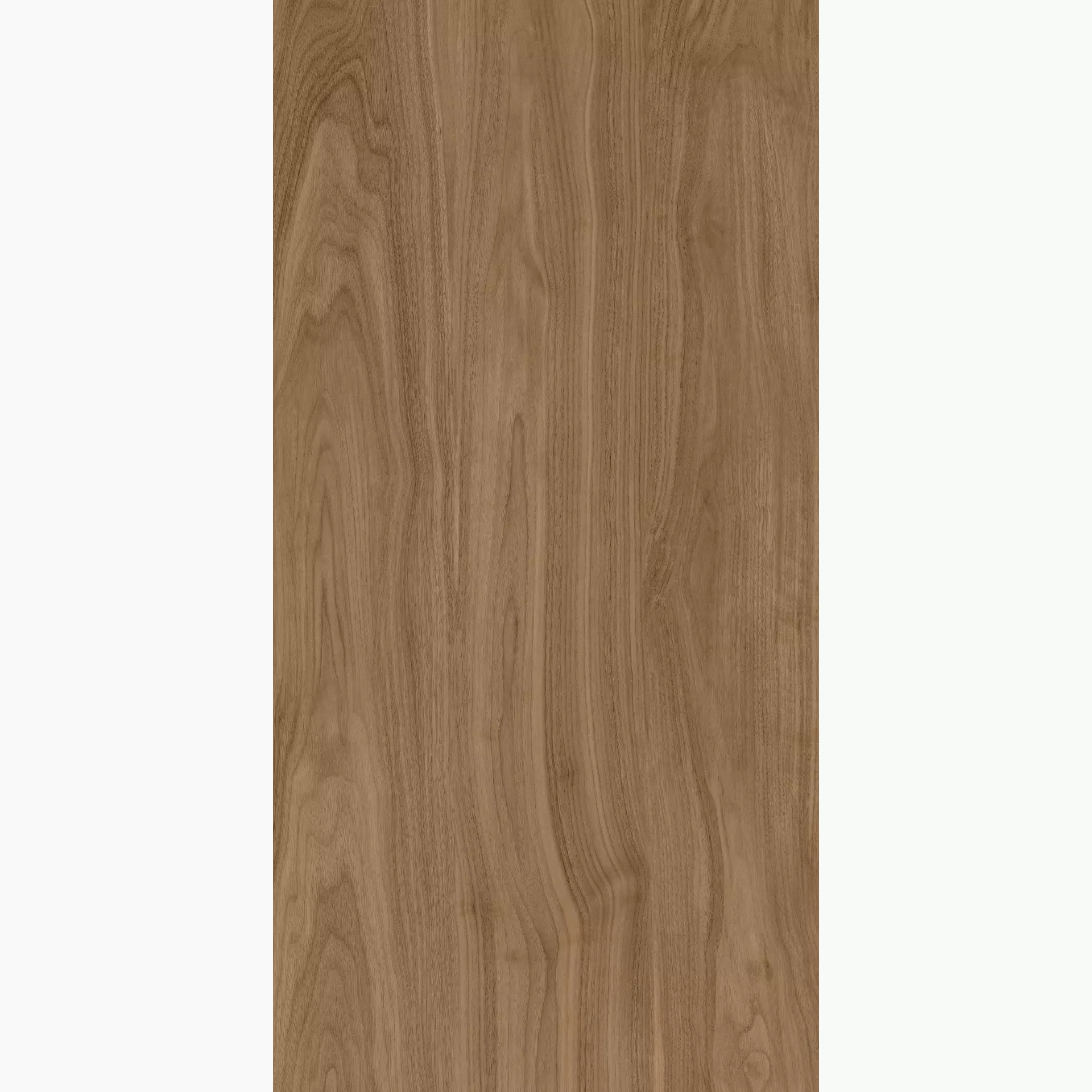 Margres Stage Brown Semi Polished B2562SE5PAA 60x120cm 9,5mm