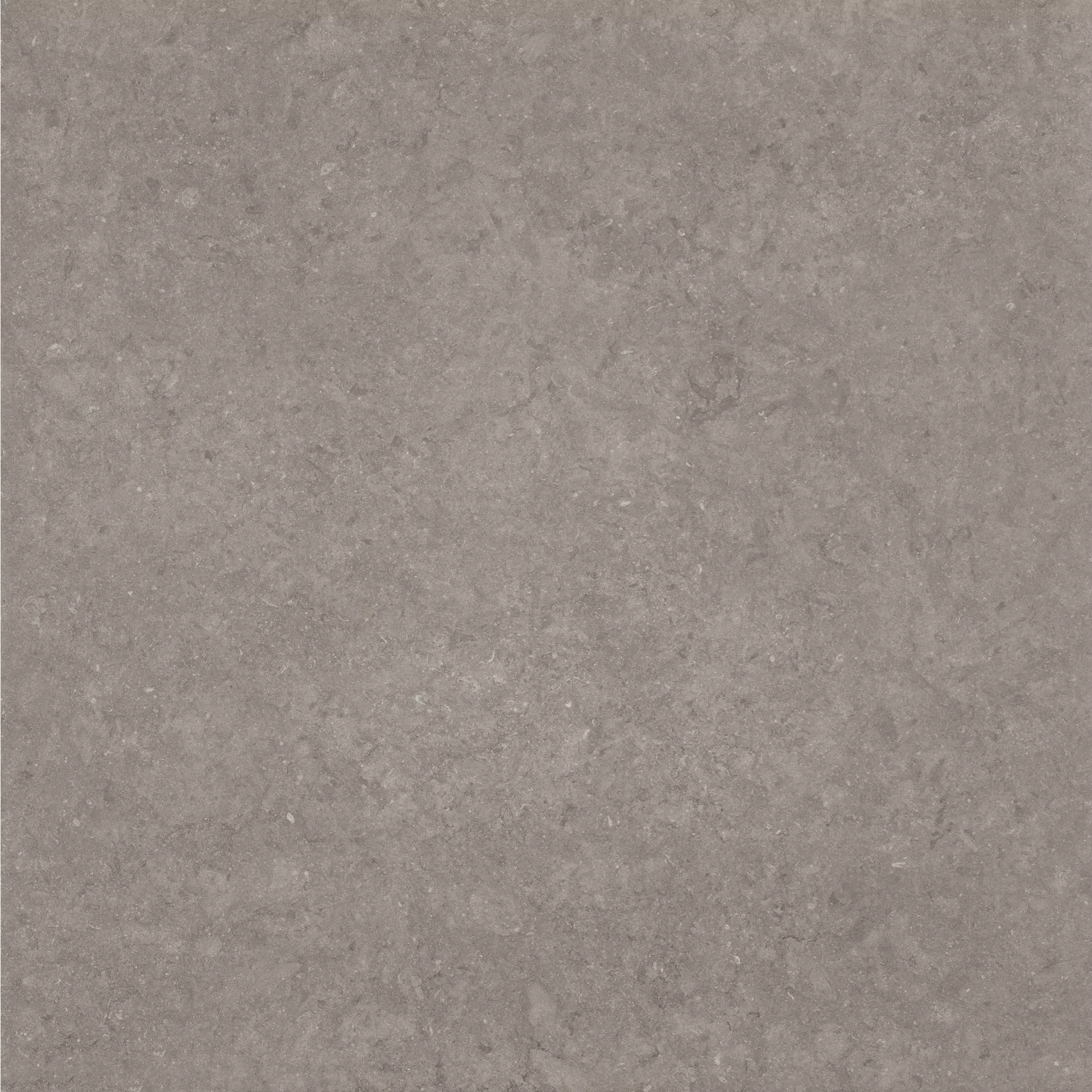 Florim Atmospheres De Rex Ombre Smooth Ombre 773415 glatt 120x120cm rektifiziert 6mm