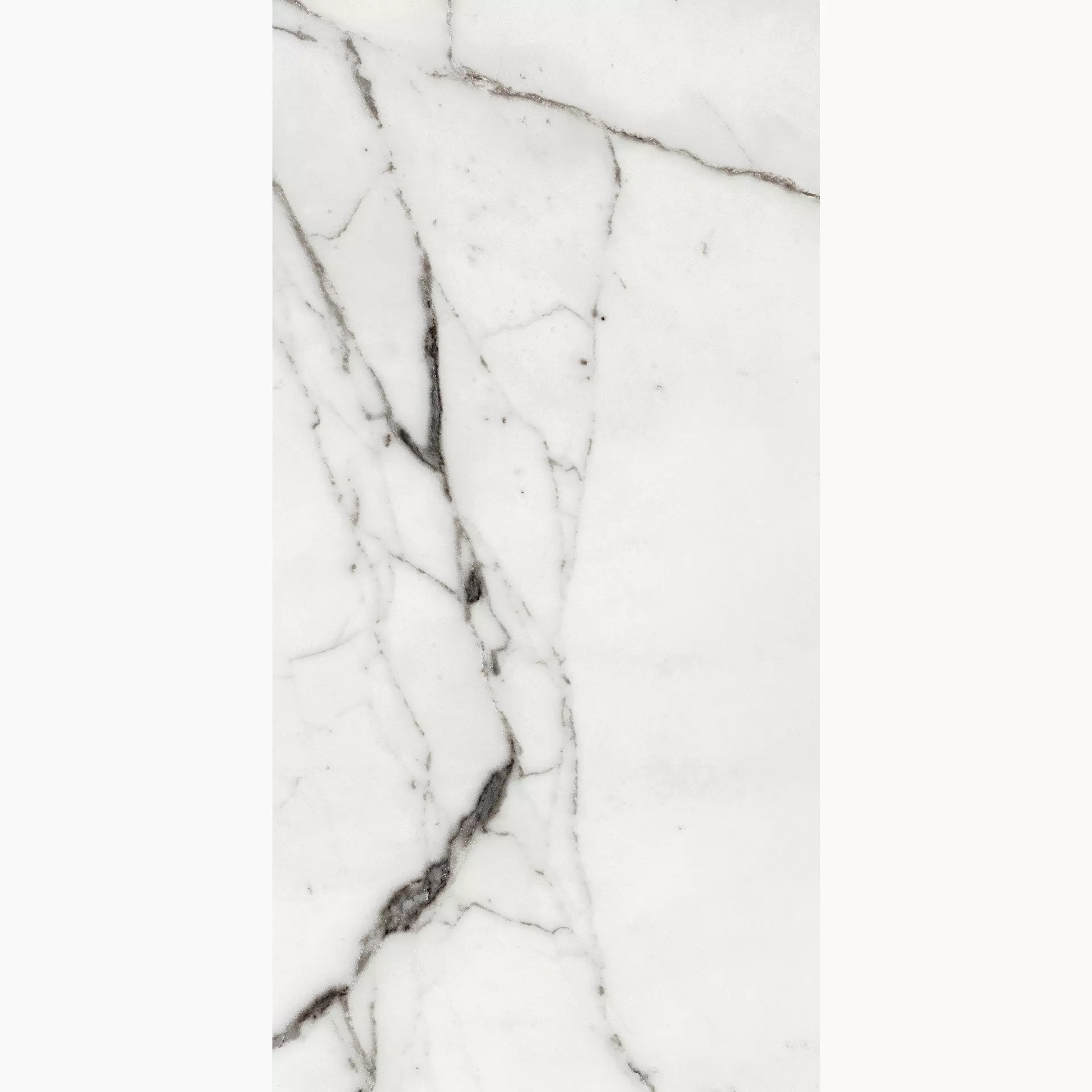 Florim Les Origines De Rex Origines Argent Naturale – Matt 769855 60x120cm rectified 9mm