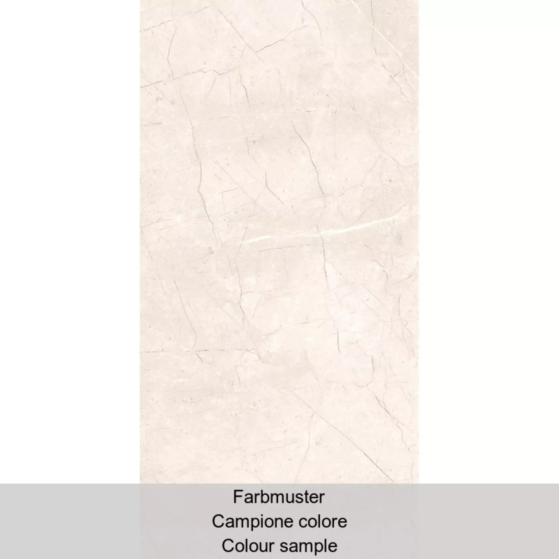 Cerdomus Mexicana White Levigato 73612 60x120cm rectified 9,5mm