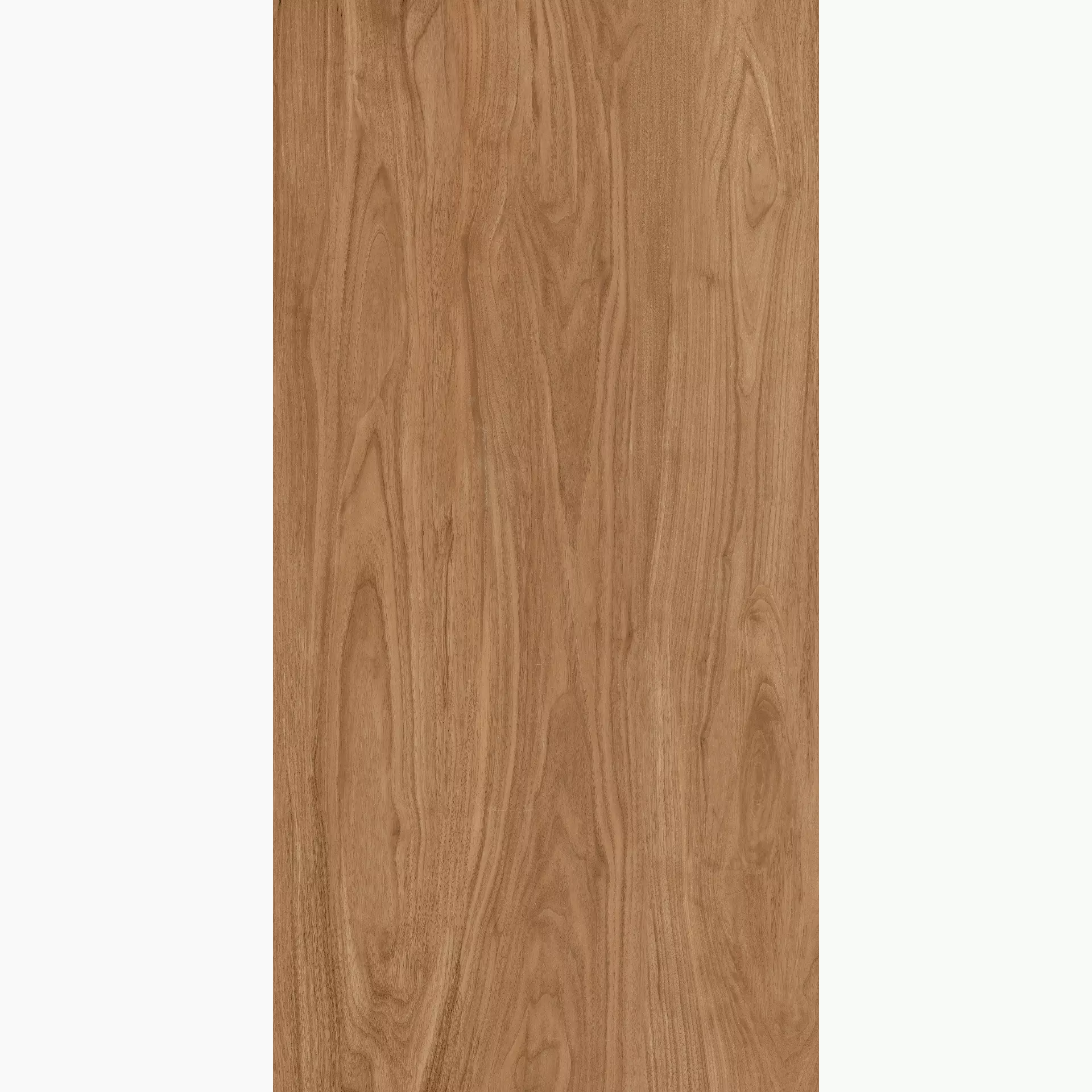 Margres Stage Cherry Semi Polished B2562SE4PAA 60x120cm 9,5mm